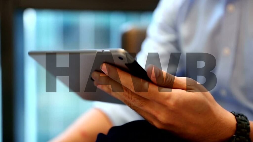The Function and meaning of HAWB